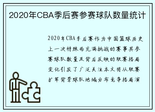 2020年CBA季后赛参赛球队数量统计