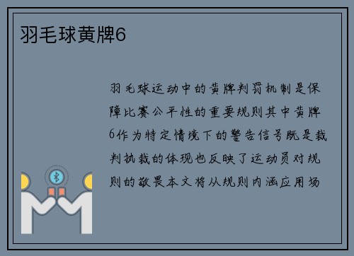 羽毛球黄牌6